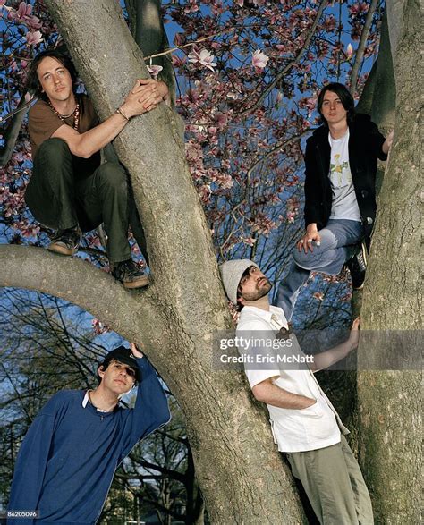 josh dibb|INTERVIEW: Animal Collective .